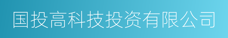 国投高科技投资有限公司的同义词