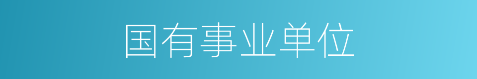 国有事业单位的同义词