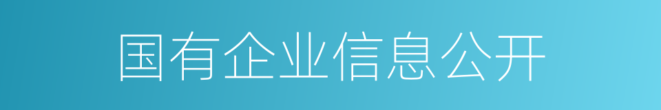 国有企业信息公开的同义词