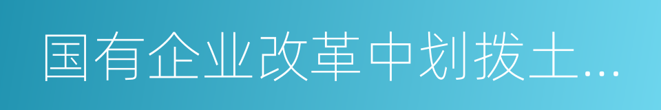 国有企业改革中划拨土地使用权管理暂行规定的同义词