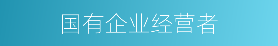 国有企业经营者的同义词