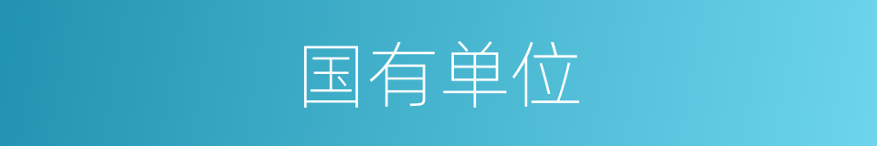 国有单位的同义词