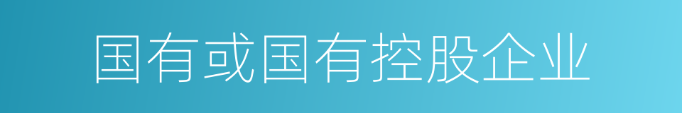 国有或国有控股企业的同义词