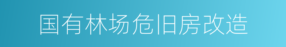 国有林场危旧房改造的同义词