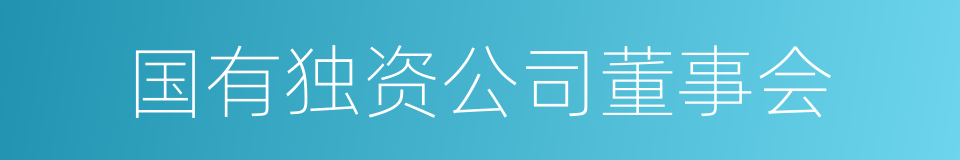 国有独资公司董事会的同义词