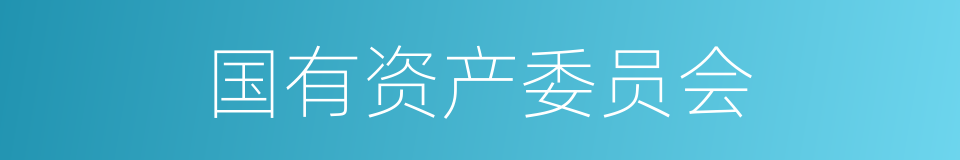国有资产委员会的同义词