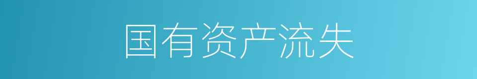 国有资产流失的同义词
