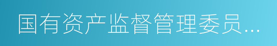 国有资产监督管理委员会主任的同义词