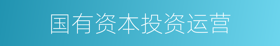 国有资本投资运营的同义词