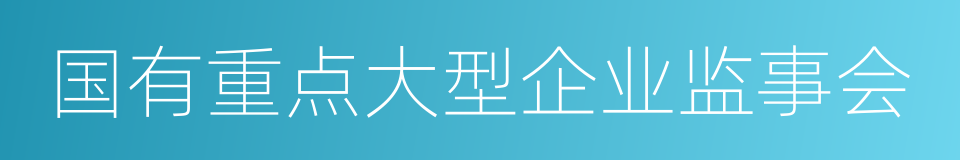 国有重点大型企业监事会的同义词