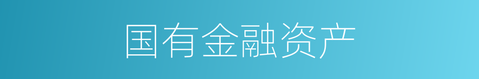 国有金融资产的同义词
