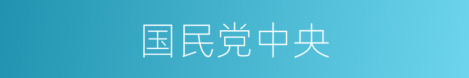 国民党中央的同义词