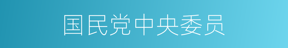 国民党中央委员的同义词