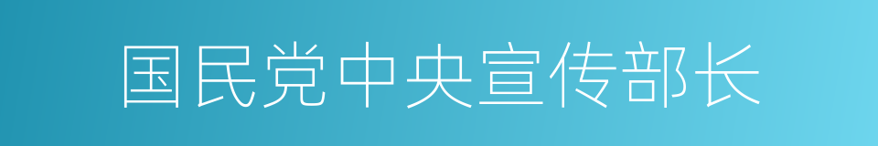 国民党中央宣传部长的同义词