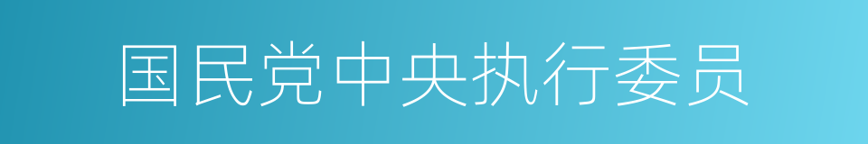 国民党中央执行委员的同义词