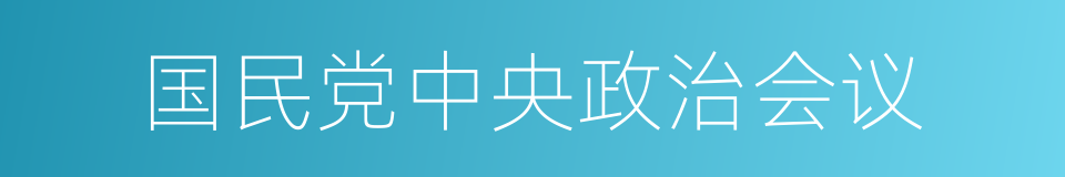 国民党中央政治会议的同义词