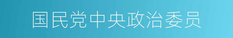 国民党中央政治委员的同义词