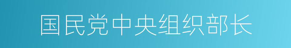 国民党中央组织部长的同义词