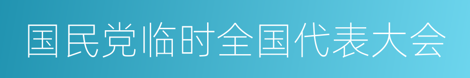 国民党临时全国代表大会的同义词