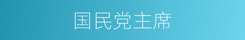 国民党主席的同义词