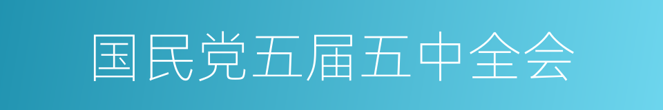 国民党五届五中全会的同义词