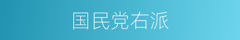 国民党右派的同义词