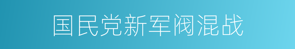 国民党新军阀混战的同义词