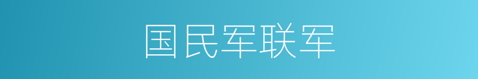 国民军联军的同义词