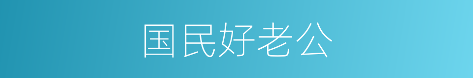 国民好老公的同义词