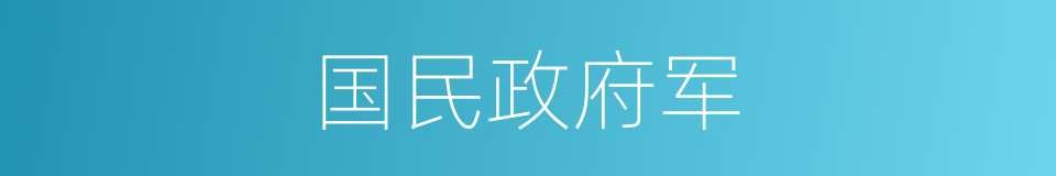 国民政府军的同义词