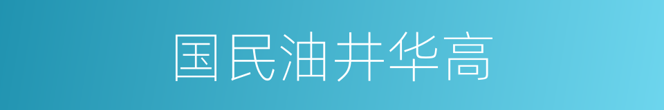 国民油井华高的同义词