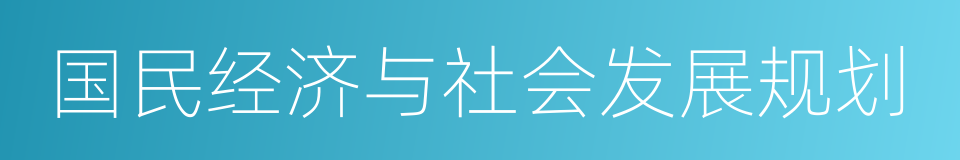 国民经济与社会发展规划的同义词