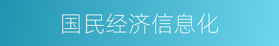 国民经济信息化的同义词