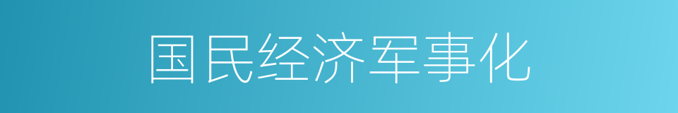 国民经济军事化的同义词