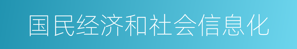 国民经济和社会信息化的同义词