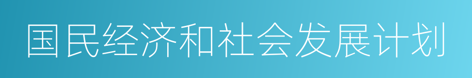 国民经济和社会发展计划的同义词