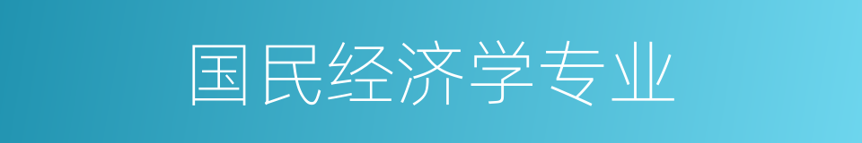 国民经济学专业的同义词