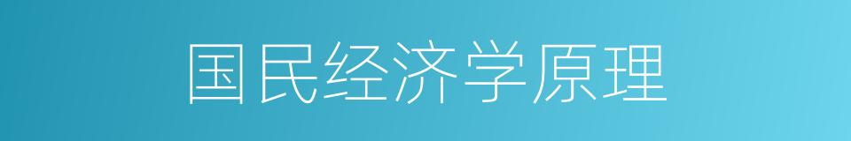 国民经济学原理的意思