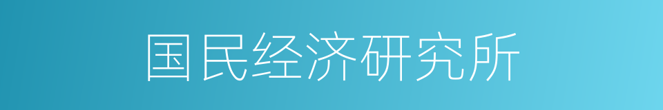 国民经济研究所的同义词