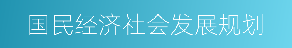 国民经济社会发展规划的同义词