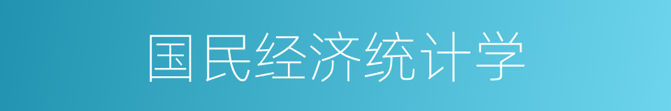 国民经济统计学的同义词