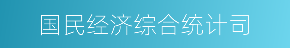 国民经济综合统计司的同义词