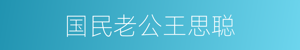 国民老公王思聪的同义词