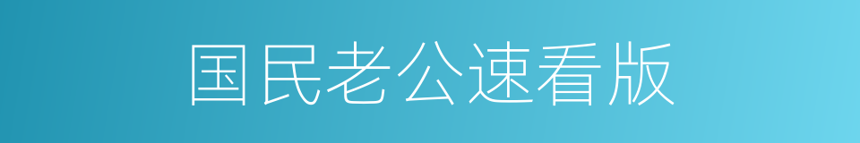 国民老公速看版的同义词