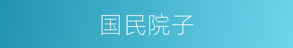 国民院子的同义词