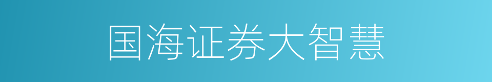 国海证券大智慧的同义词