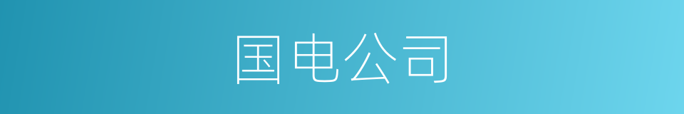 国电公司的同义词