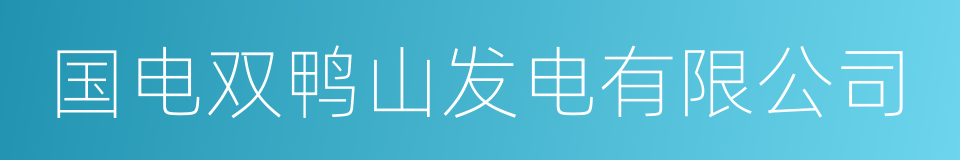 国电双鸭山发电有限公司的同义词