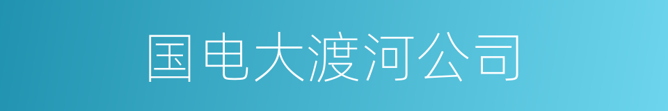 国电大渡河公司的同义词