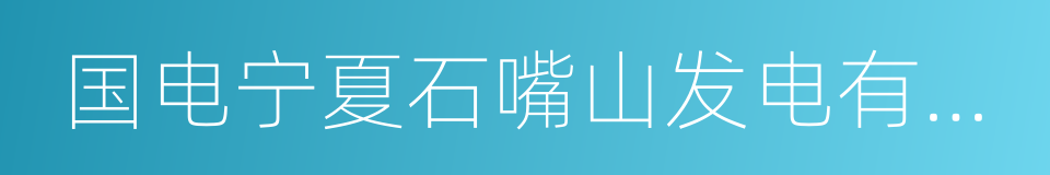 国电宁夏石嘴山发电有限责任公司的同义词